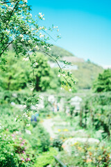 熱海の美しい庭園と海の風景