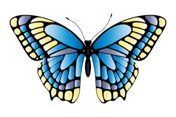 Vibrant Blue Butterfly With Yellow Accents in Detailed Vector Illustration Style