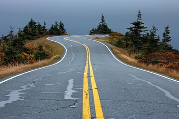 Naklejka premium A road with yellow lines and trees in the background