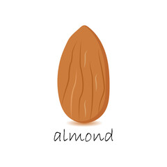 Almond icon with shadow,natural healthy food symbol