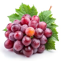 Small bunch of red table grape with grape leaves covered with water drops isolated on white background.
