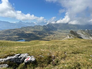 Fototapeta premium Alpine meadows and pastures on the slopes of the Uri Alps mountain massif, Melchtal - Canton of Obwalden, Switzerland (Kanton Obwald, Schweiz)