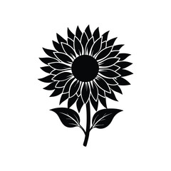 sunflower vector illustration