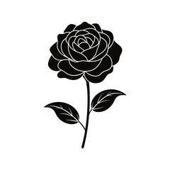 rose vector illustration