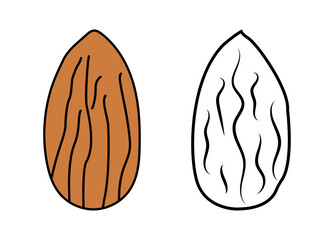 Almond color  and outline icon 