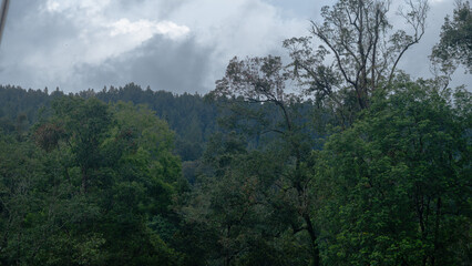 Mountain Wilderness Covered in Tropical Greenery