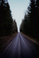 Fototapeta premium A country road through the forest