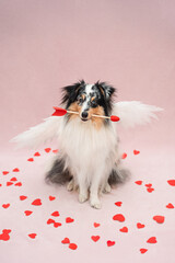 Cupid Dog
