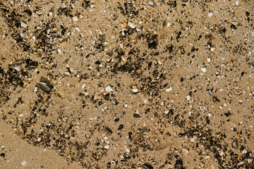 close up of sand texture