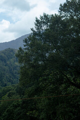 Lush Green Mountain Landscape Under a Bright Blue Sky