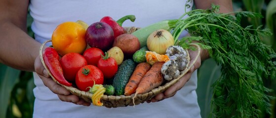 man holding fresh vegetables in his hands. Selective focus