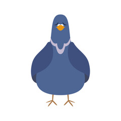wise pigeon cartoon character design