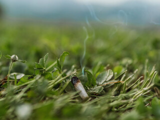 Smoke rising from a cigarette discarded in fresh green grass in a serene outdoor setting