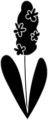 hyacinth illustration decoration silhouette plant logo floral icon flower outline nature spring blossom flora garden beautiful botanical bouquet bloom shape with vector graphic background