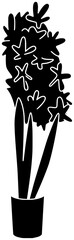 hyacinth illustration decoration silhouette plant logo floral icon flower outline nature spring blossom flora garden beautiful botanical bouquet bloom shape with vector graphic background