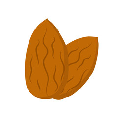  colored icon of almond