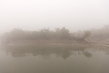 Mudflats and mangrove forest of Sundarban tiger reserve in a foggy morning, India
