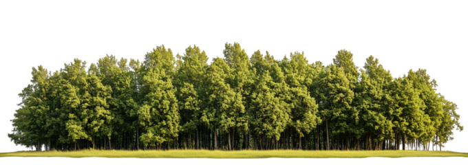 Trees island isolated on transparent background