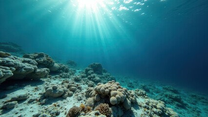 Fototapeta premium Underwater scene of coral reef impacted by coral bleaching with sunlight 