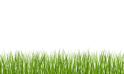 Green Grass border isolated on transparent background, vector illustration. Realistic green seamless grass. Grass png, lawn png.