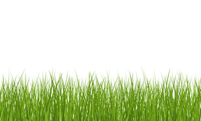 Obraz premium Png Green Grass border isolated on transparent background, vector illustration. Realistic green seamless grass. Grass png, lawn png. Stock royalty free