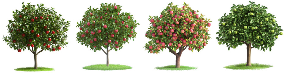 Lush green fruit trees in a row isolated on white background