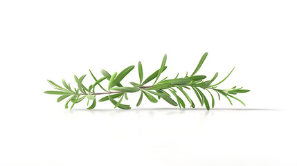 Naklejka premium green grass isolated on white