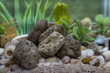 A close-up shot showcases rocks and pebbles at the bottom of an aquarium, amidst aquatic plants, creating a serene underwater environment.