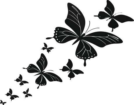 butterfly's 