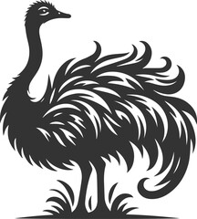 Ostrich standing sideways, head turned slightly animal silhouette vector