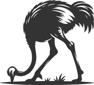 black ostrich bending down to eat clip art preview