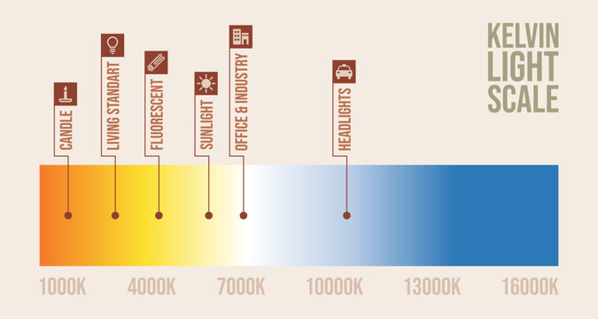 Kelvin light scale infographic vector. Each category is clearly labeled with corresponding color temperatures, transitioning from warm yellows to cool blues.