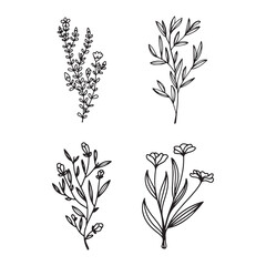 Elegant Black and White Floral Vector Set