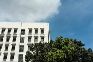 Obraz premium A white building set against a blue sky with trees, creating a clean and refreshing architectural scene