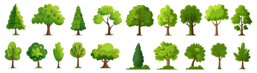 Glasschilderij Kinderkamer Vector illustration of cartoon trees set isolated on white background, simple modern style, cute green plants, forest, flat style, nature, healthy lifestyle, eco-friendly, outdoor scenes  © aura studio