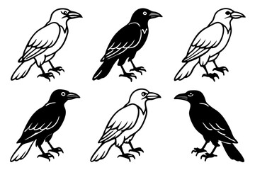 Crow Line Art Bundle