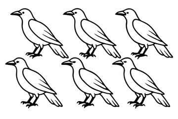 Crow Line Art Bundle