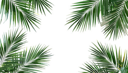 Summer background, vector palm branches in the corners, PNG artwork, exotic plants, palm tree decor, tropical plants decoration elements, rainforest leaves, botanical design, island vibes