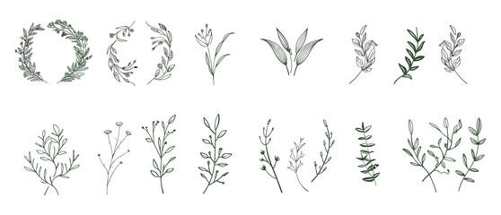 Vector set of elegant floral logo elements, borders and dividers, frame corners, botanical branch, boho hand drawn line wedding herb, leaves for invitation, save the date card,
