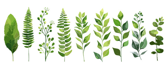 Watercolor style tropical eucalyptus greenery, fern, nature art, botanical leaves, forest herbs, decorative beauty, designer illustration, elegant foliage, green leaves, natural illustration.