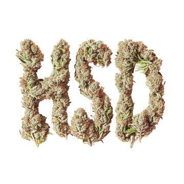 HSD created from cannabis buds, white isolate background