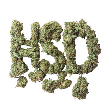 HSD made from cannabis leaves, white isolate background