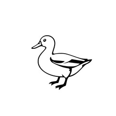Silhouette of a Duck: A simple black and white outline of a duck with a minimalist design against a white background.
