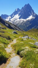 mount ranges during summer