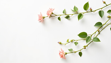 Fototapeta premium Elegant champagne flute on formal dining table with candlelight, celebration