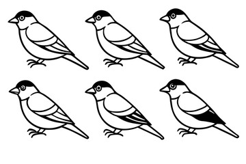 Elegant Finch Line Art Vector Collection