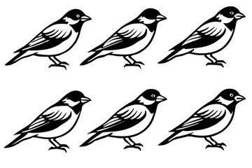 Fototapeta premium Elegant Finch Line Art Vector Collection