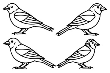 Elegant Finch Line Art Vector Collection