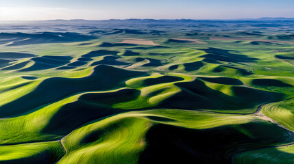 Rolling hills, fields of green landscape panorama