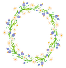 muscari and daffodil flowers watercolor wreath frame